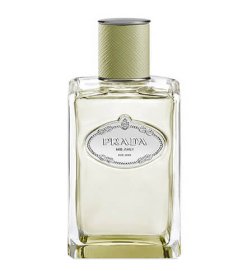 Vetiver Infusion - Eau de Parfum Vetiver Infusion - Eau de Parfum